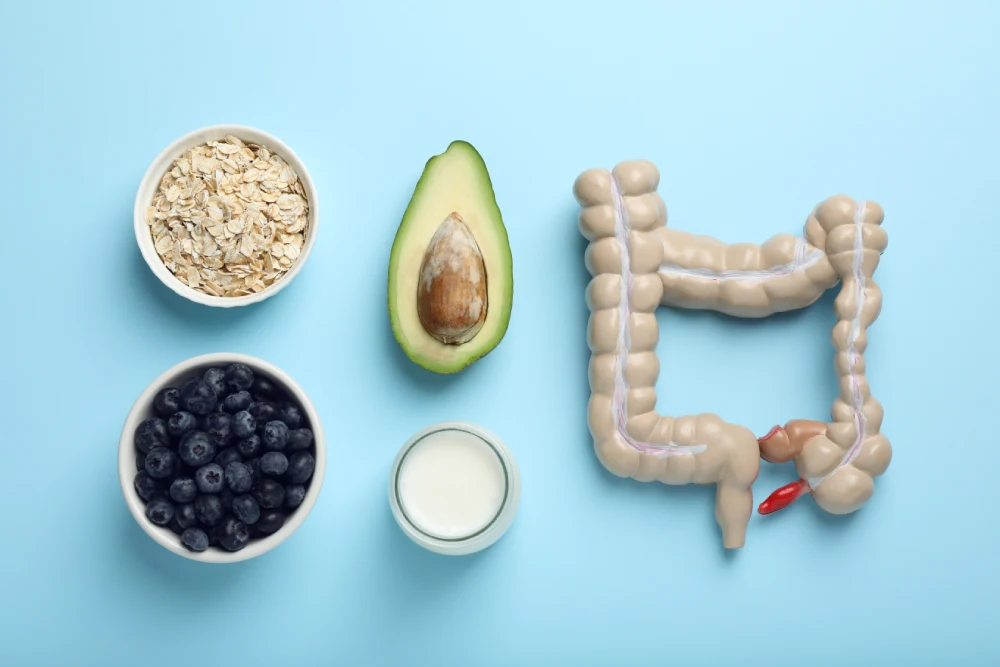 healthy gut