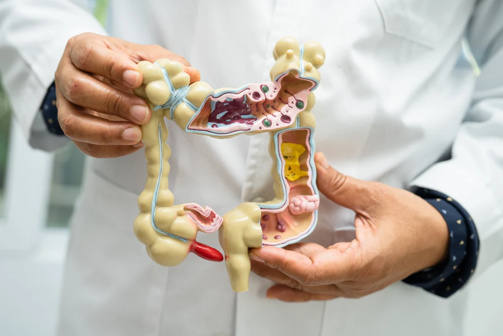 healthy gut