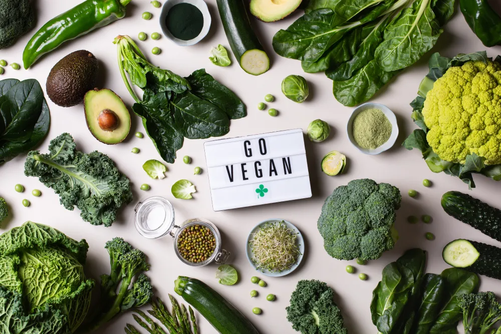 vegetarian protein sources
