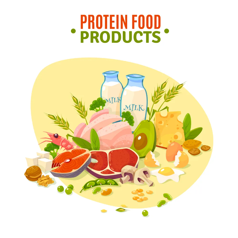 vegetarian protein sources