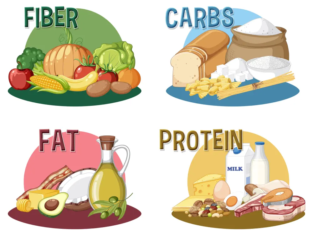 protein meals