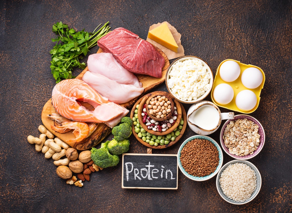 foods rich in protein