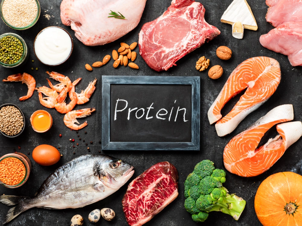 high protein foods
