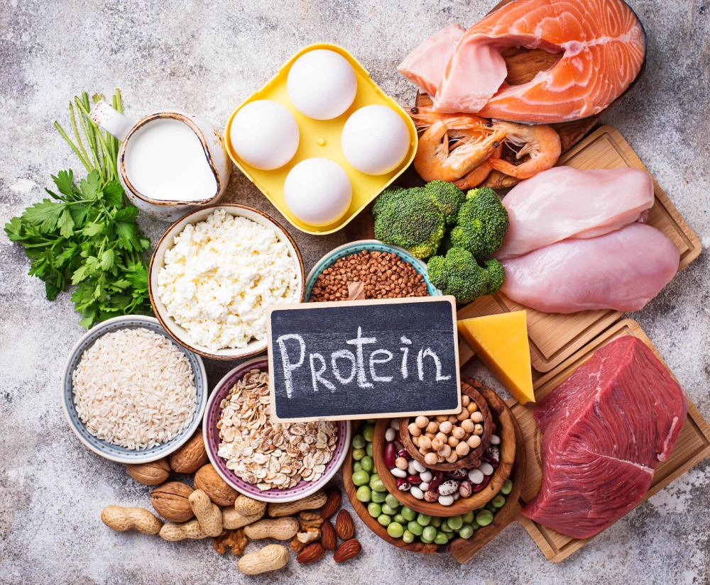 foods rich in protein
